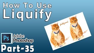 How To Use Liquify Filter In Adobe Photoshop 70 Part 35 [upl. by Leaper]