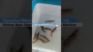 Shrimp Back Opening And Deveining Machine machine machinery [upl. by Sidras]