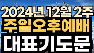 주일오후예배 기도문ㅣ찬양예배 대표기도문 ㅣ2024년 12월 2주 주일 예배 대표기도문ㅣ12월 둘째 주일 낮예배 대표기도 예시문 ㅣ대표기도가 어려운분들을 위한 주일예배 기도 예문 [upl. by Oler472]