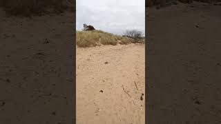 Findhorn Beach findhorn scotland beach [upl. by Lefkowitz]