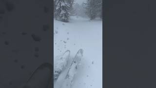 An absolute incredible day powder skiing May 8th in Cooke City Mt winter is alive and well [upl. by Assenay771]