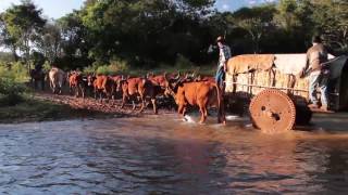 A caminho de Trindade 2017  Abadiânia 2017 [upl. by Kcirrag]