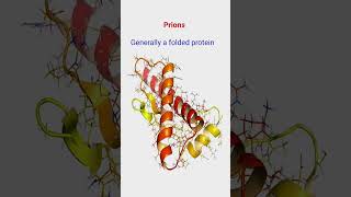 Viroid ll Prions ll Class 11 ll Biology [upl. by Vallie]