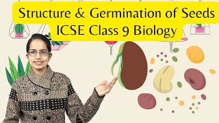 Structure amp Germination of Seeds  Epigeal Hypogeal  ICSE Class 9 Biology  SOF  NTSE  NSTSE [upl. by Andee]