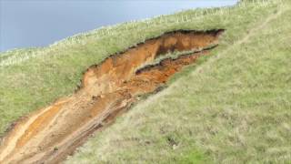 Spectacular Landslide at Papamoa Hills Regional Park in New Zealand [upl. by Sharl]