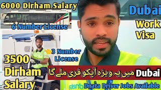 Dubai How To Get Drivers Best Jobs  Emirates Group Carrier  Best Salary  dubaiworkvisa [upl. by Nawed]