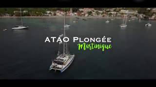 Catamaran ATAO Plongée Martinique  sorties inoubliables en petit comité [upl. by Alliuqahs]