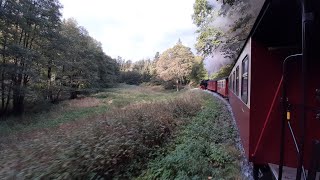 📽🌲🍂🍁🚂 99 7243 dampft kraftvoll den Ramberg hinauf 06102024 🚂🍁🍂🌲📽 [upl. by Eissirhc]