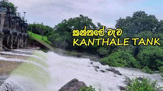 කන්තලේ වැව Kanthale tankKanthale lake🌾kanthale lake tank kanthaletank [upl. by Dusty849]