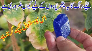 Why is this blue stone important for plants  important element for plant [upl. by Gerti146]