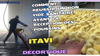 Comment Réussir Un bon vide Sanitaire Avant la réception des poussins ITAVI Décortique [upl. by Eads]