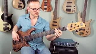 Mike Pope and the Emperor 5 Standard Fretless [upl. by Monah984]