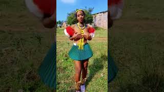 💖🌹zulu zulunation zulunationfamily zuludance proudlysouthafrican africa africanqueen sama28 [upl. by Gudren]