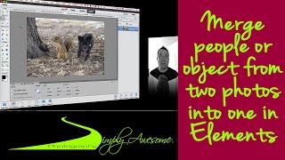 Learn Photoshop Elements  Merge people from two photos into one [upl. by Yhtorod339]