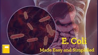 E Coli Bacteria Microbiology  Escherichia Coli  E Coli Disease [upl. by Reynard]