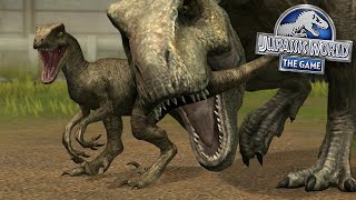 THE BIG ONE IS HERE  Jurassic World  The Game  Ep544 HD [upl. by Airam]