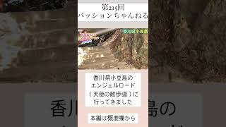 香川 四国 エンジェルロード 小豆島 japan 観光スポット 旅行動画 一人旅 旅行 travel 香川観光 kagawa 天使の散歩道 恋人の聖地 shorts [upl. by Joerg]