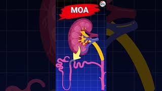 Furosemide Mode Of Action animation pharmacology pharmacyindia [upl. by Vonni]