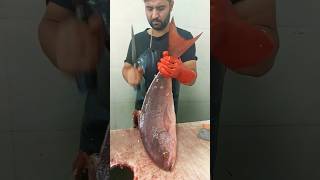 How to clean Red Snapper without skin amp bones fishcutting [upl. by Eveivaneg717]