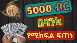 5000 ብር በባንክ የሚከፍል ምርጥ ሥራ ፍጠኑ Make Money Online [upl. by Neisa]