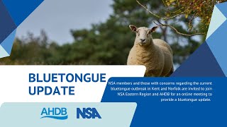 NSA Eastern Region and AHDB bluetongue update [upl. by Eitsim]