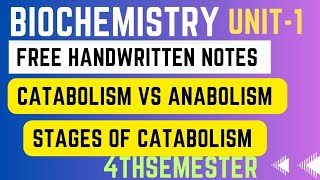 Overview of metabolism ll catabolism vs anabolism ll stages of catabolism ll anabolism ll catabolism [upl. by Hoisch]