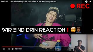 Reaction Lucio101  Wir sind drin prod by Brasco amp nocashfromparents [upl. by Gitlow23]