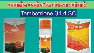 मका तणनाशक लॉडीस Maize Herbicides Laudis [upl. by Salbu]