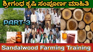 Sandalwood Farming in India  Complete Guide to Sandalwood  Sandalwood Plantaion in India  sandal [upl. by Drannel]