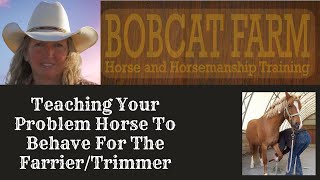 Teaching Your Problem Horse To Behave For The FarrierTrimmer [upl. by Imogene]