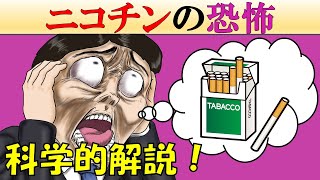 【依存症】ニコチンを摂取するとどうなる？【タバコ】 [upl. by Naiditch]