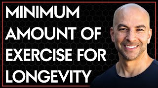 The minimum effective training for the four pillars of longevity  Peter Attia [upl. by Parry846]