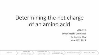 Charge of an amino acid [upl. by Henriques]