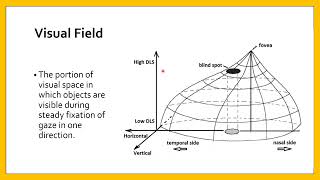 Central Visual Field Techniques of evaluation [upl. by Yllitnahc]