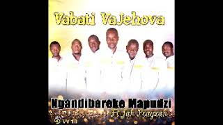 Vabati VaJehova Zvishuwo Zvemoyo Official Audio 2018 [upl. by Onilegna]