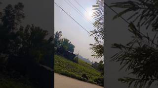 Gori tera gaw bra pyara🌳🏡villagelifeaartiroy4748shortsviralvideo oldsgoldnature 🌿🌱🌾🍀☘️❤️ [upl. by Leavy983]