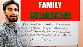 FAMILY SOLANACEAE  DESCRIPTION OF FLOWER Zeeraks Biology [upl. by Abott429]