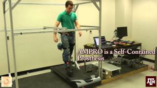 Introducing AMPRO Translating Robotic Locomotion to Powered Transfemoral Prosthesis [upl. by Adlesirk650]