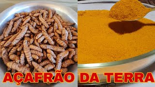 COMO FAZER O PÓ DE AÇAFRÃO DA TERRA EM CASA MUITO FÁCIL [upl. by Negaem111]