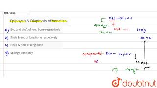 Epiphysis amp Diaphysis of bone is [upl. by Perlis]