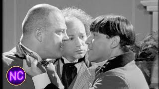 The Three Stooges  Movie Trailer [upl. by Selestina]