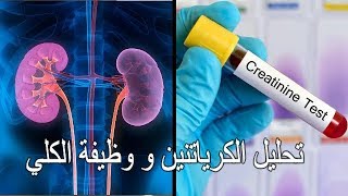 تحليل Créatinine وعلاقته بوظائف الكلي [upl. by Anyek]