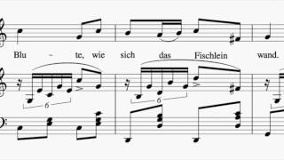 Accompaniment C lowkeyquot Die Forellequot  Schubert [upl. by Gladstone]