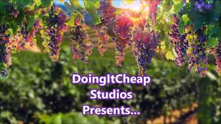 Beginners Tutorial On Homemade Wine by PawPaw Guaranteed Results [upl. by Yerffoej]