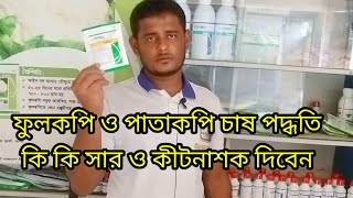 ফুলকপি ও বাঁধাকপি চাষ পদ্ধতি প্রথম থেকে শেষ পর্যন্ত কি কি সার ও কীটনাশক দিবেন। [upl. by Lyndell116]