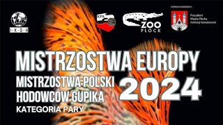 MISTRZOSTWA HODOWCÓW GUPIKÓW 2024 [upl. by Anitsenre]