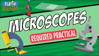 GCSE Biology Revision Guide  Microscopy amp Required Practical [upl. by Yeffej836]