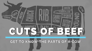 Cuts of Beef Get to Know the Parts of a Cow [upl. by Meier]