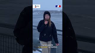 Au Québec elle aide les volontaires 🇫🇷 [upl. by Yeliak]