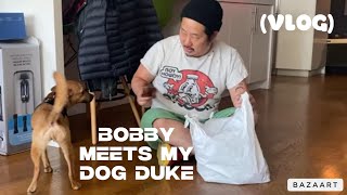 Bobby meets my dog Duke VLOG [upl. by Priestley]